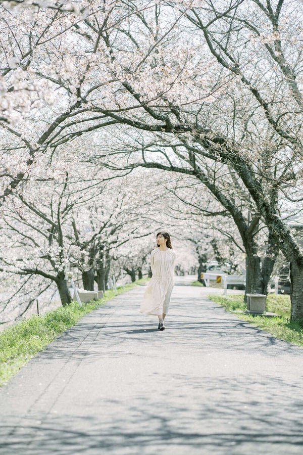 【岩国発】 井原鉄道貸切お花見列車と 桜の井原堤と備中国分寺 日帰り2